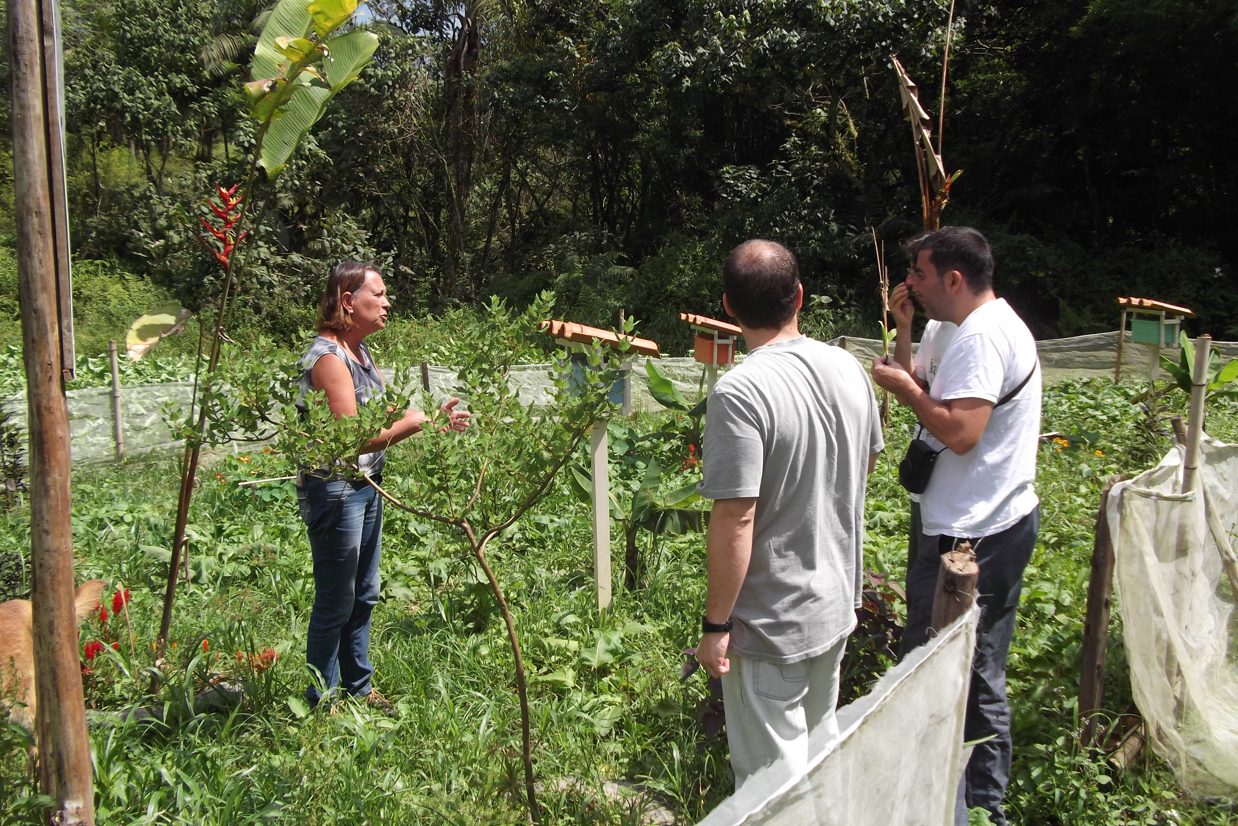 Visita técnica da comissão de avaliação do FEMA no pasto apícola.jpg